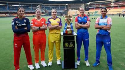 海港新星 海港新星