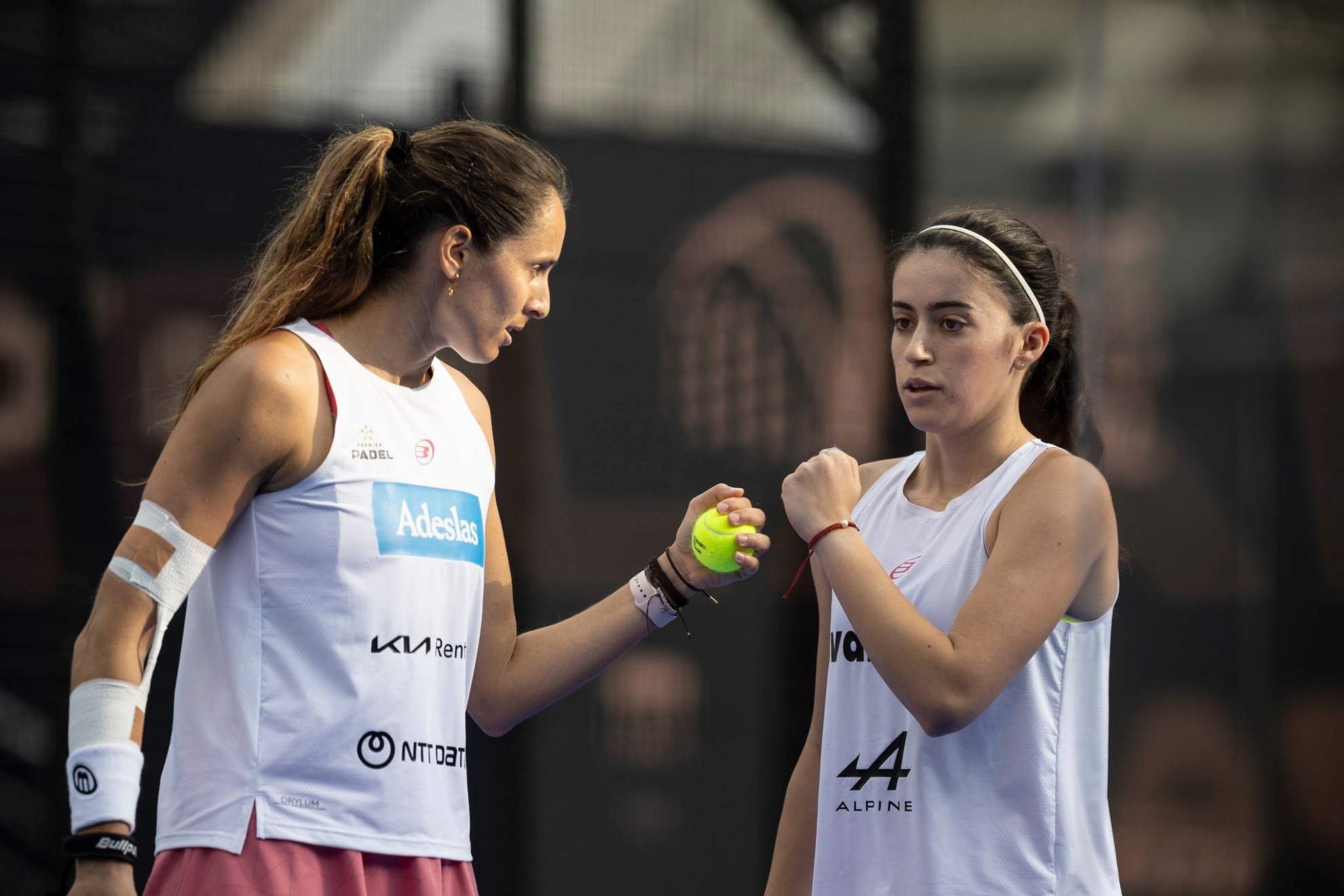 球迷们可以 球迷们可以